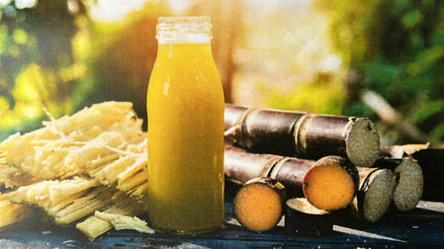 Sugarcane/Seamoss.
